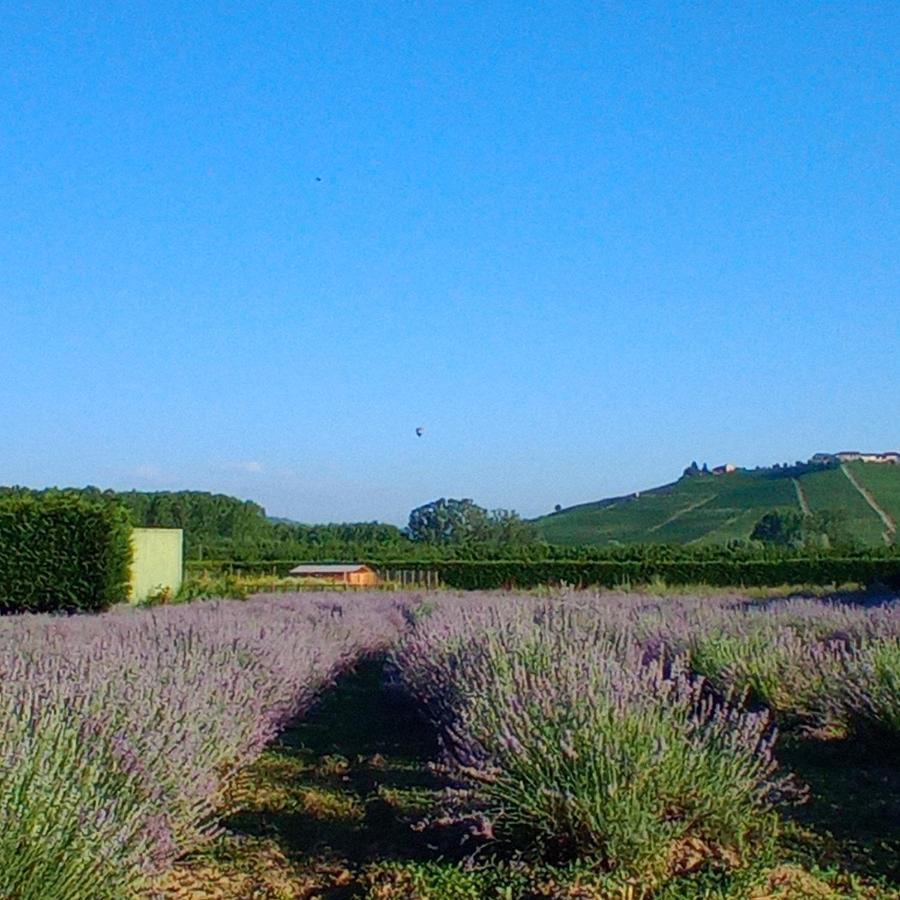 La Cascina Di Carlotta 1846 Agriturismo Alba  Buitenkant foto