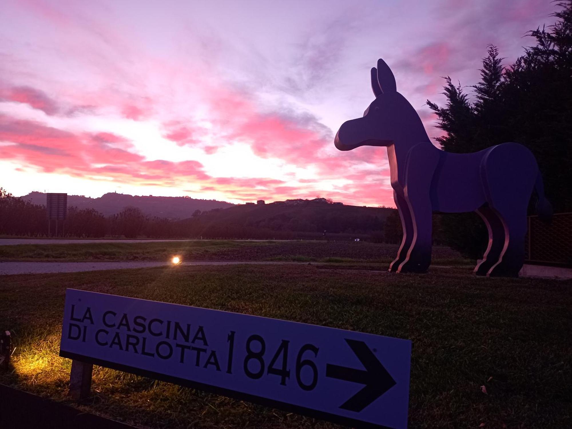 La Cascina Di Carlotta 1846 Agriturismo Alba  Buitenkant foto